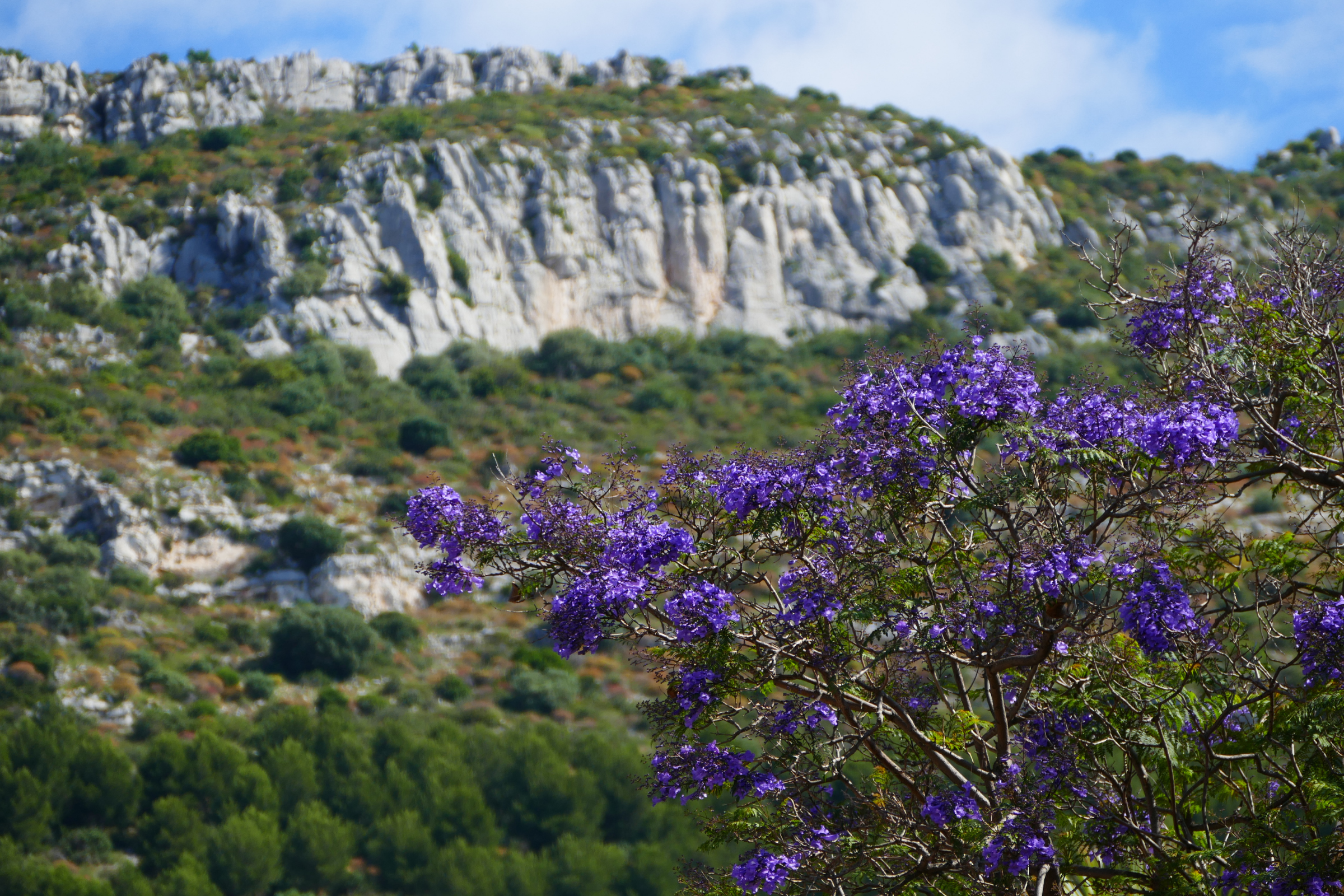 beaulieu-sur-mer (2).webp